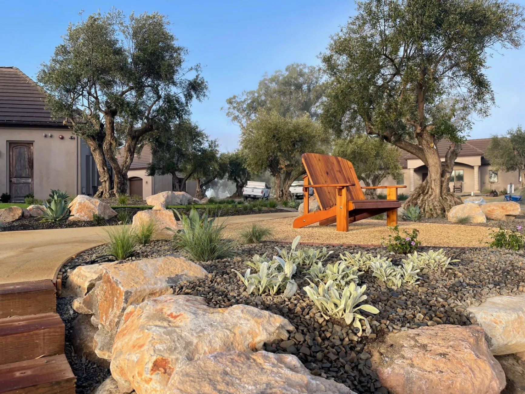 Rock garden with olive trees