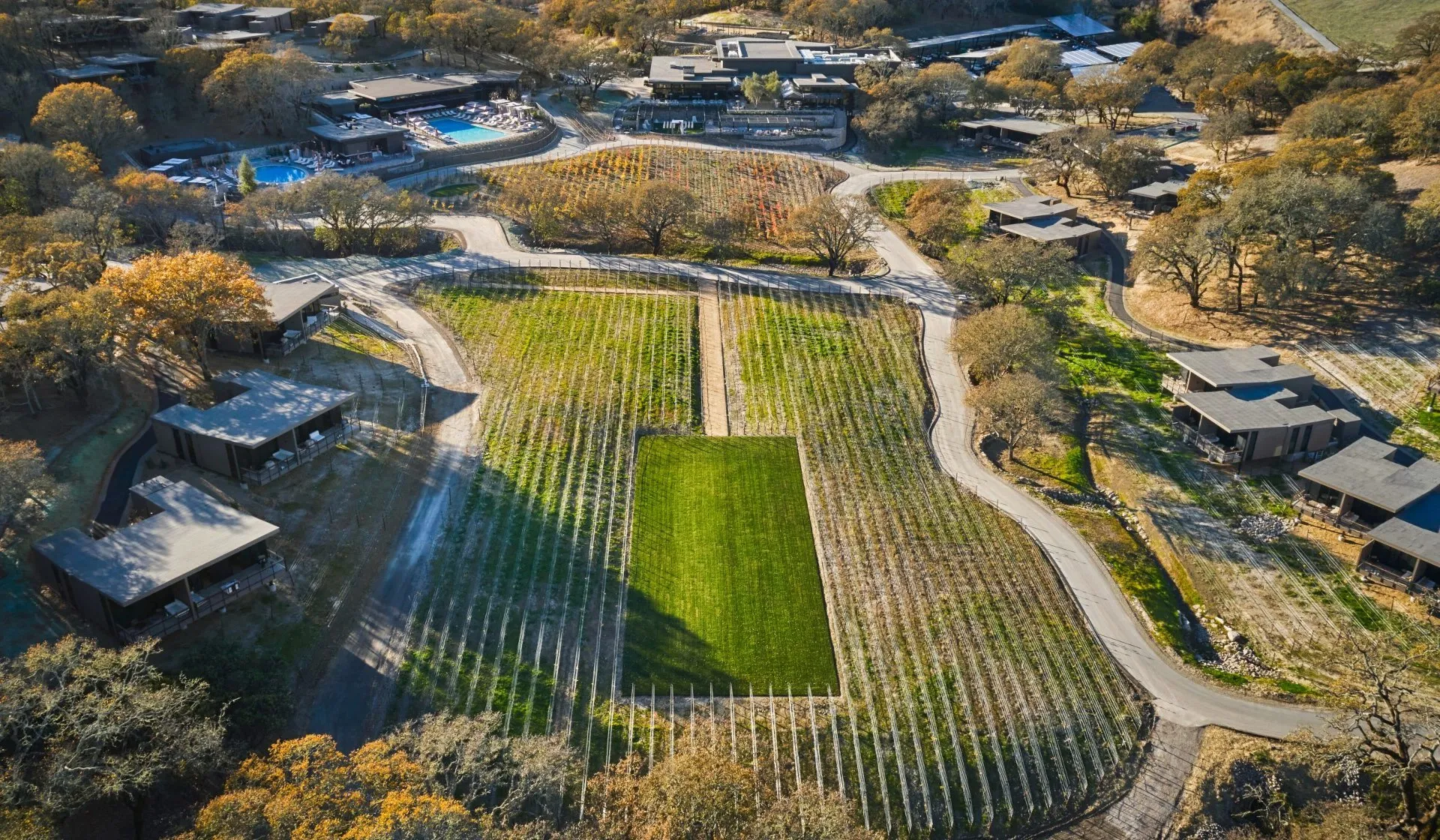 Montage vineyard aerial