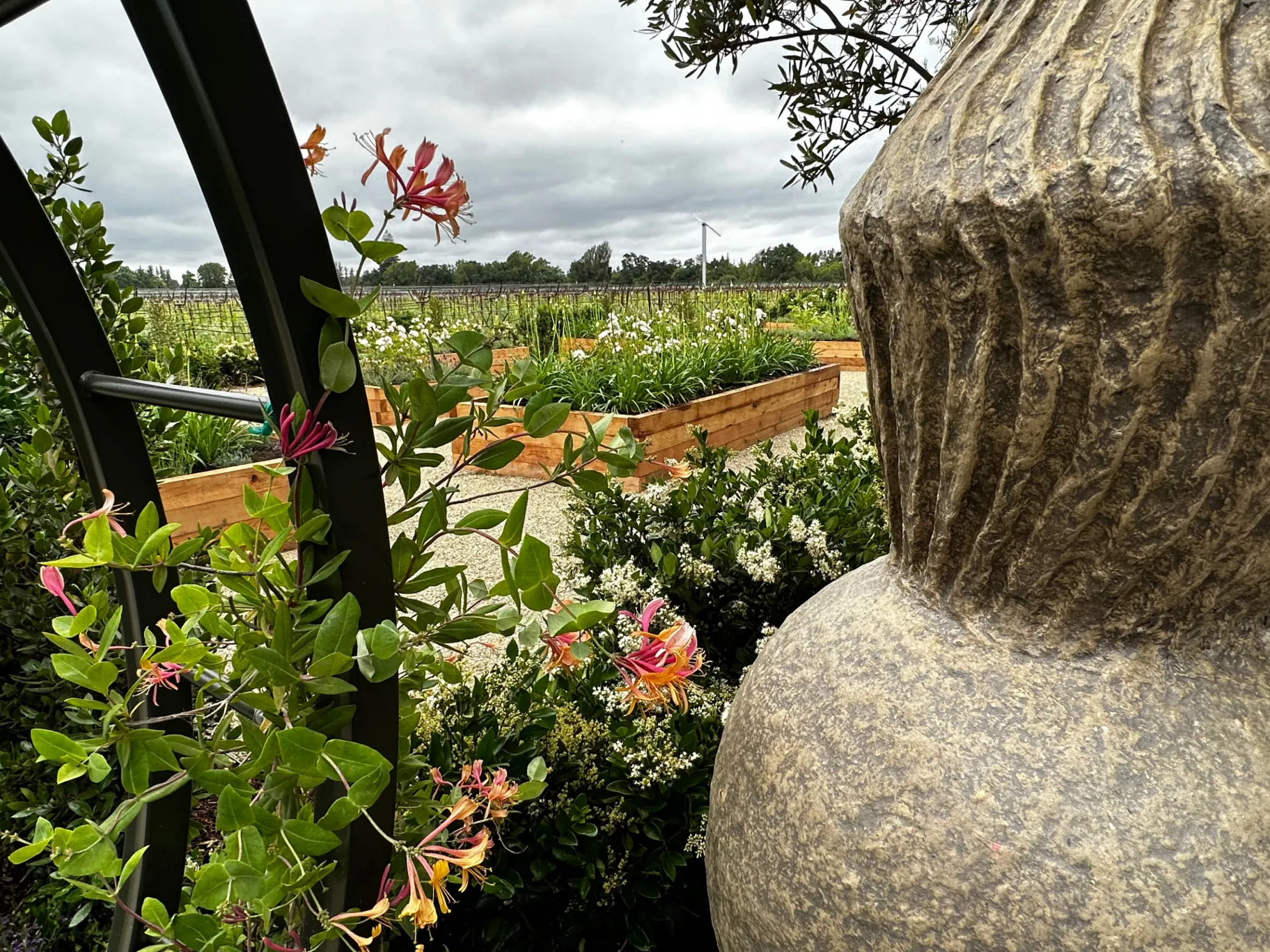 Vineyard garden with flowers