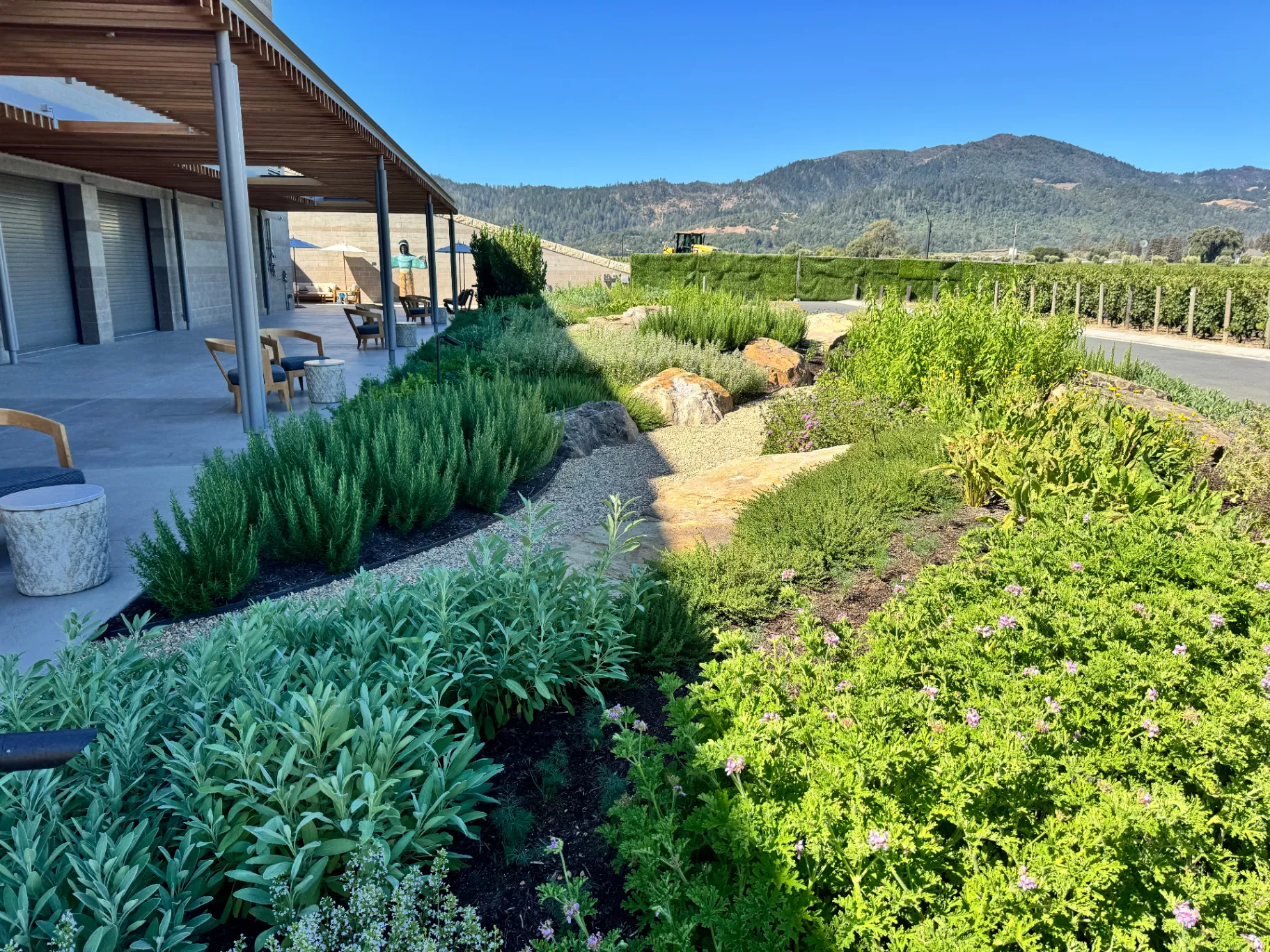 Winery terrace landscape