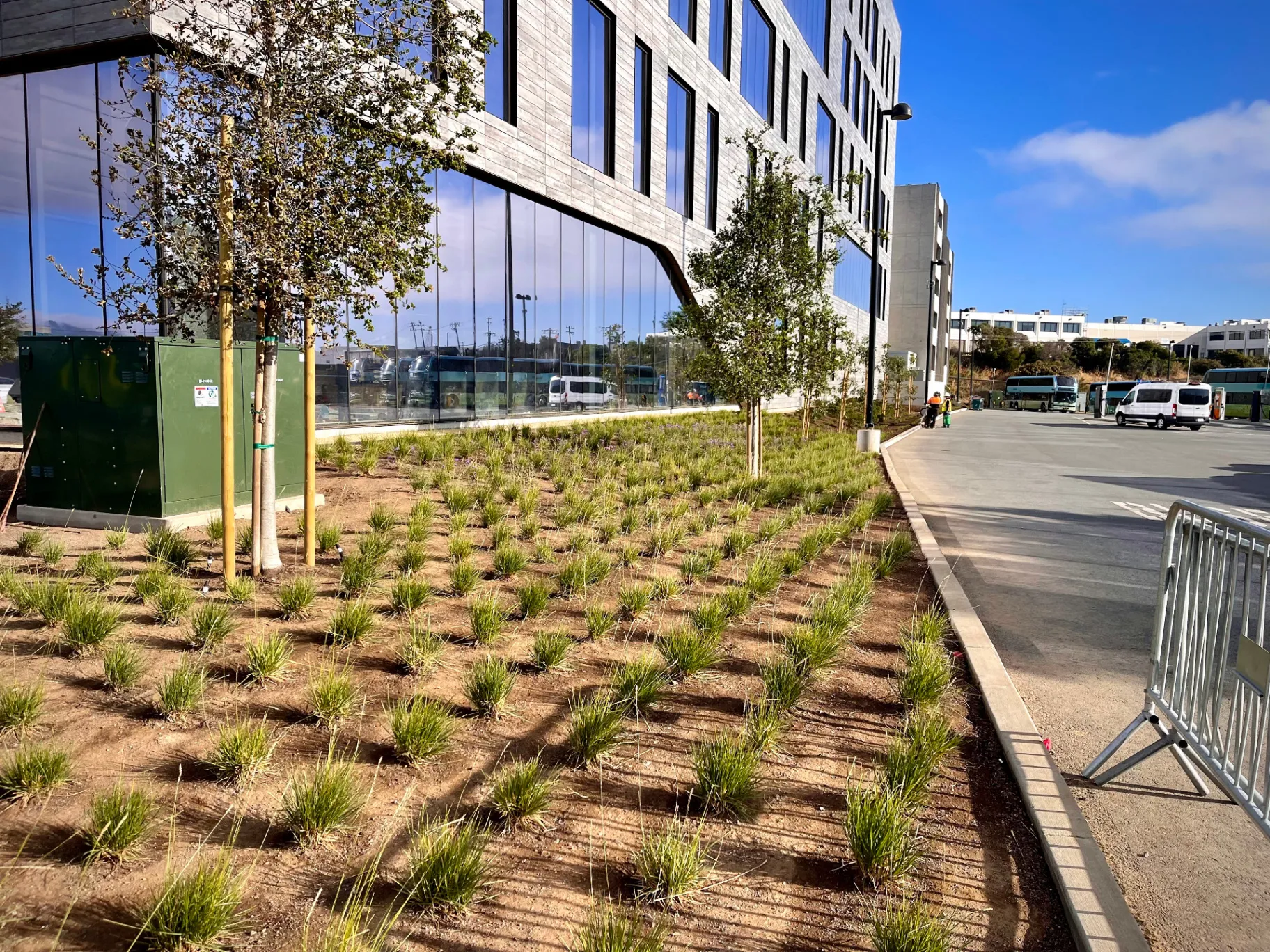 Corporate campus landscaping