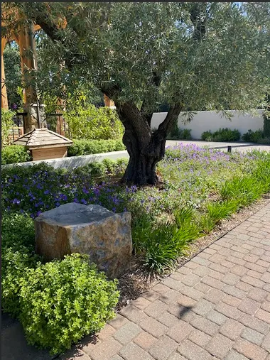 Natural bath house landscape